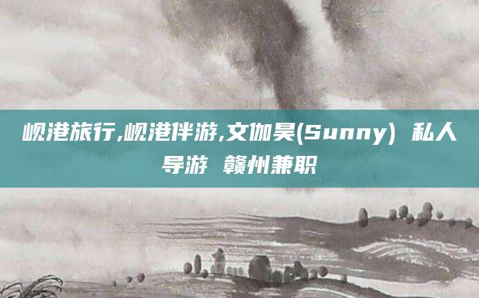 海口岘港旅行,岘港伴游,文伽昊(Sunny) 私人导游 赣州兼职